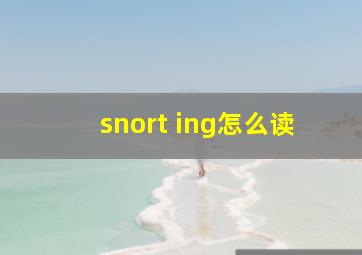 snort ing怎么读